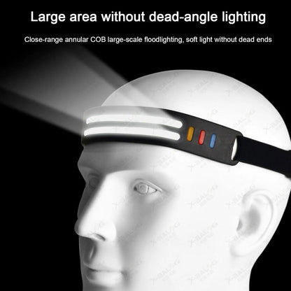 Multi-Function Induction Headlamp